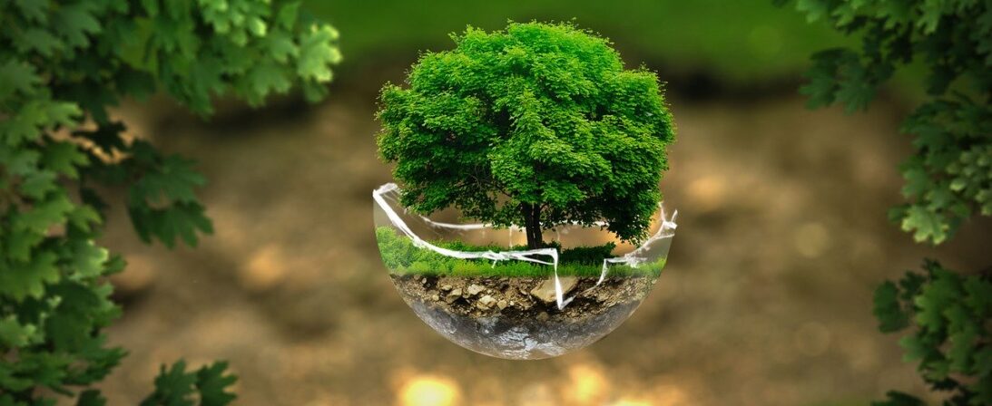 How does a mindful attitude to nature begin?