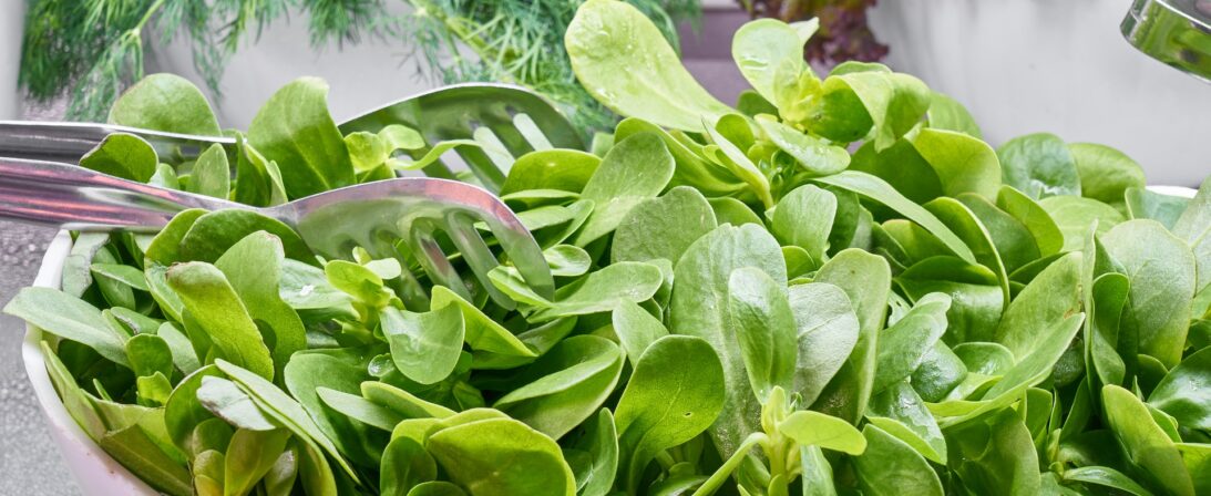 The healthiest greens