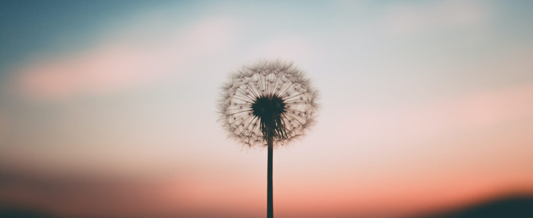 Aprender a vivir plenamente en el momento presente