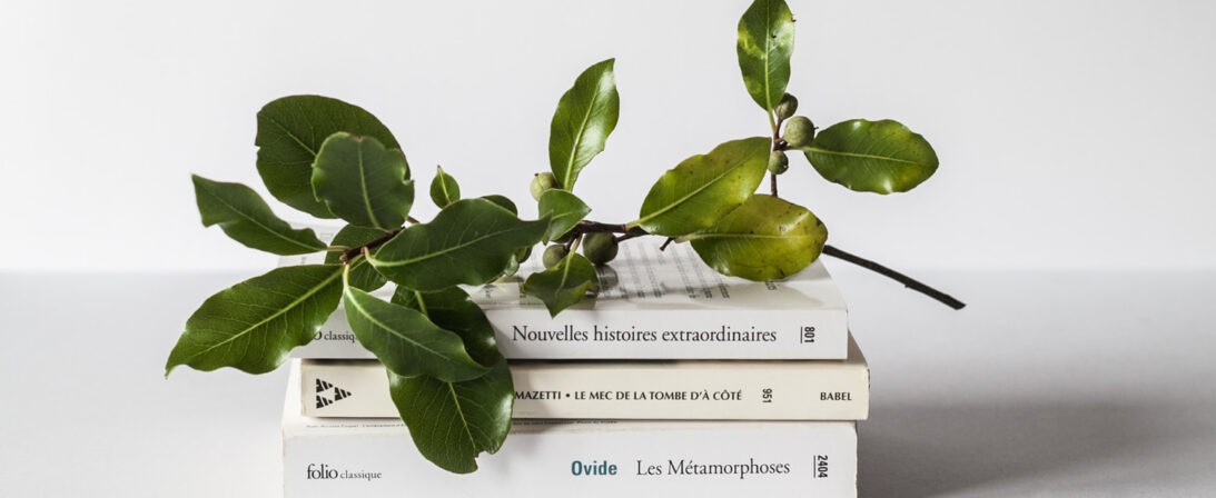 Top 5 Books to Develop Creativity