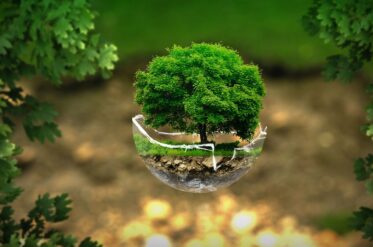 How does a mindful attitude to nature begin?