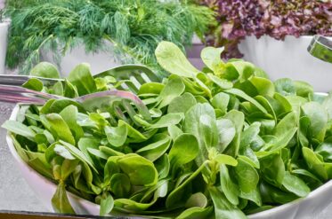 The healthiest greens