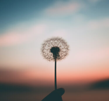 Apprendre à vivre pleinement le moment présent