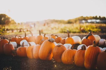 Top 10 des bienfaits de la citrouille pour la santé